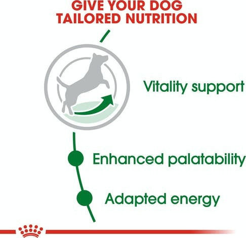 Royal Canin Mini Adult 8+ 8kg Dry Food for Adult Small Breed Dogs with Poultry and Rice