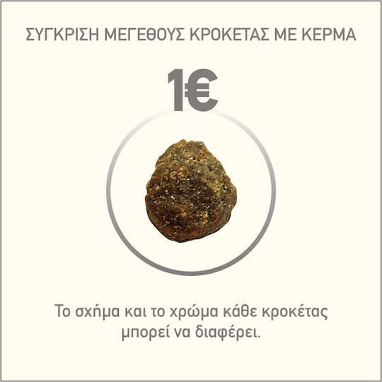 Acana Grass Fed Lamb 11.4kg Ξηρά Τροφή Σκύλων χωρίς Σιτηρά με Αρνί