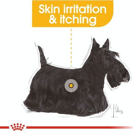 Royal Canin Dermacomfort Mini 3kg Dry Food for Adult Small Breed Dogs with Poultry and Rice