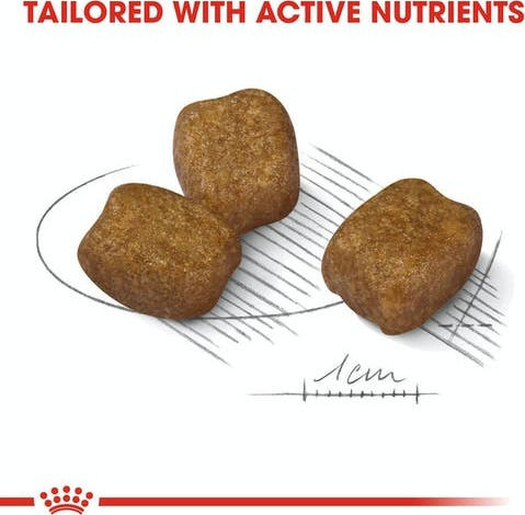 Royal Canin Dental Care Mini 3kg Dry Food Gluten-Free for Adult Small Breed Dogs with Poultry