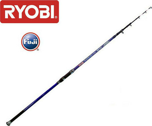 Ryobi Seishin Fishing Rod for Casting / Surf Casting 4m 50-100gr