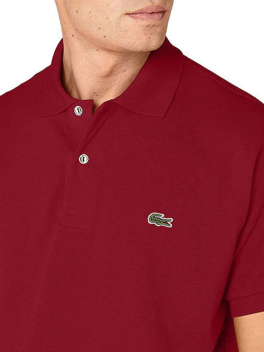 Polo T-shirt Burgundy