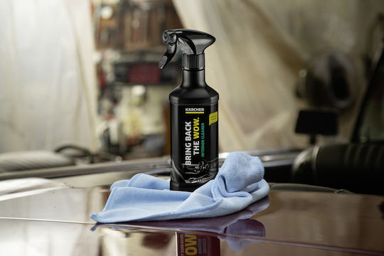 Karcher RM 651 Cleaning / Polishing and Protective Spray for Car Dashboard 500ml