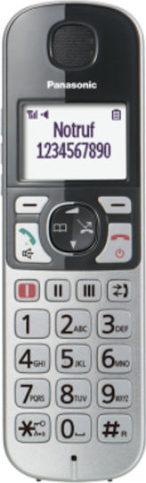 Panasonic KX-TGQ500GS Ασύρματο Τηλέφωνο IP Ασημί