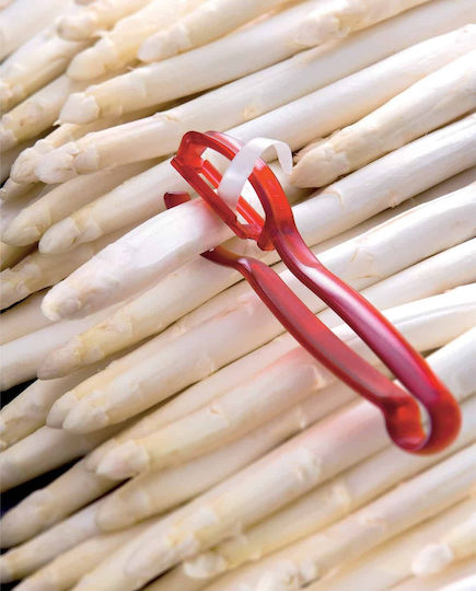 Triangle Peeler/Cleaner for Asparagus made of Stainless Steel for Asparagus
