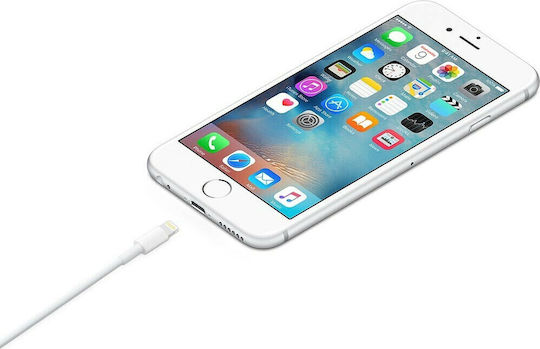 Apple USB-A to Lightning Cable Λευκό 2m (MD819ZM/A)