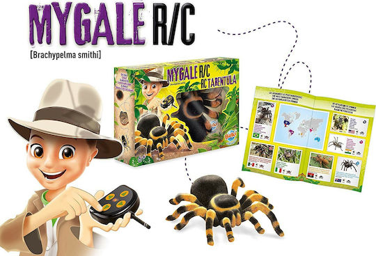 Buki Tarentula Ferngesteuertes Spielzeug