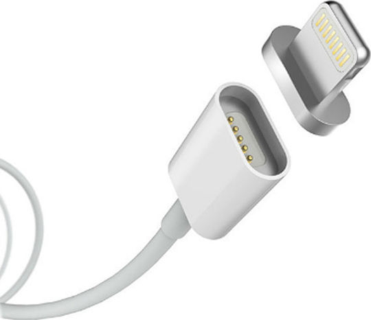Magnetic USB to Lightning Cable Γκρι 1m