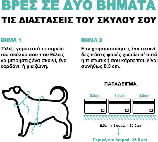 Zee-Dog Λουρί/Οδηγός Σκύλου Ιμάντας Ruff Gotham L 80x2.5cm σε Μαύρο χρώμα