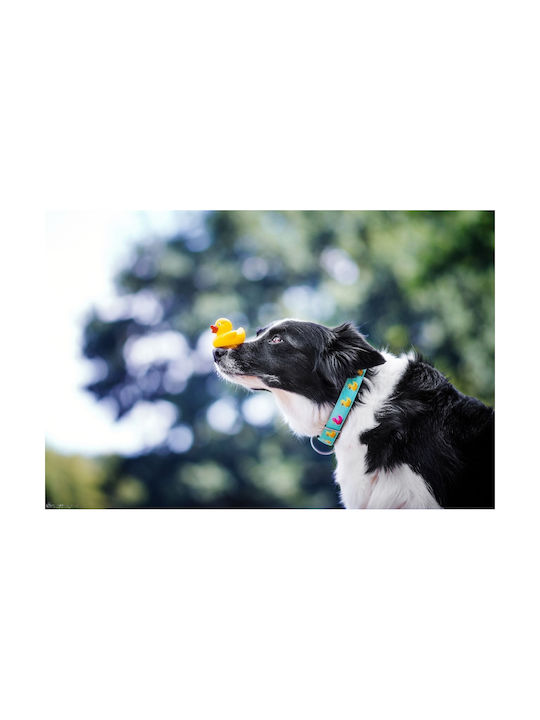 Max & Molly Ducklings Ошийник за куче Средна ошийка