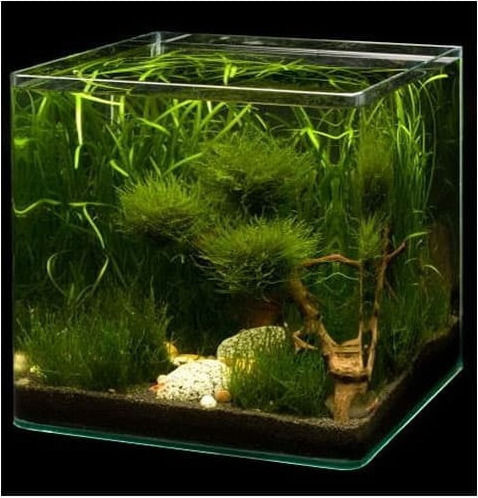 Dennerle Nano Cube Fish Aquarium Capacity 20lt with 25x25x30cm