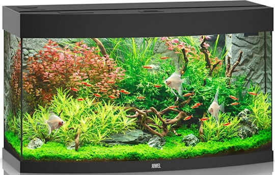 Juwel Vision Acvariu Pentru Pești Cu Memorie Internă 180lt Include Iluminat Încălzitor Circulator Filtru 92x41x55cm Negru