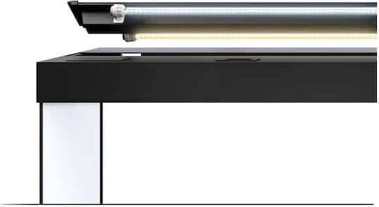 Juwel Rio 450 Acvariu de Pești cu Capacitate de 450lt cu Iluminare, Încălzitor, Circulator, Filtru și 51x51x66cm. Bej