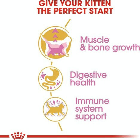 Royal Canin Kitten British Shorthair Hrană Uscată pentru Pisici Tinere cu Tract Gastrointestinal Sensibil cu Păsări de curte 2kg
