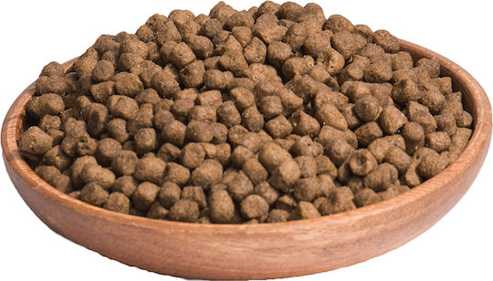 Wellness Core Grain Free Sterilised Original Dry Food Grain-Free for Adult Sterilized Cats with Chicken 4kg