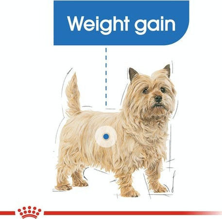 Royal Canin Light Weight Care Mini 3kg Dry Food Diet for Adult Small Breed Dogs with Poultry and Rice