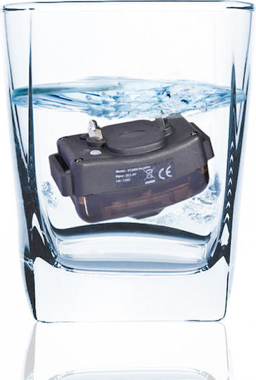 Dog Trace Electric Dog Training Collar with 2000m Range