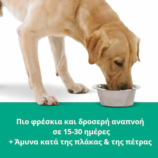 Tropiclean Fresh Breath + Digestive Support Στοματικό Διάλυμα για Σκύλους & Γάτες κατά της Πέτρας & Πλάκας 470ml