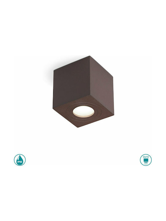 Gea Luce Sulis Waterproof Outdoor Ceiling Spot in Brown Color GES1072