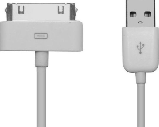 Regular USB to 30-Pin Cable Λευκό 1m