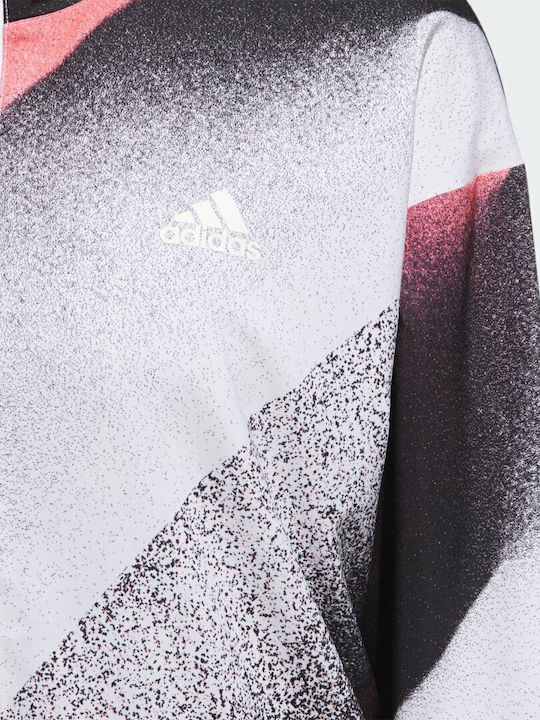 GD4554