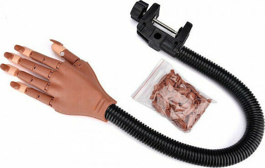 Educational Hand For Aesthetics