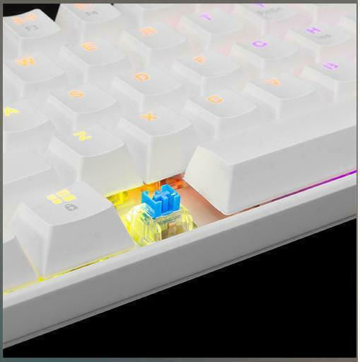White Shark Shinobi Gaming Mechanical Keyboard 60% With Outemu Red Switches And RGB Lighting English US White