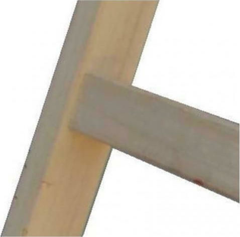 Profal Leiter Hölzernes mit 2x6 Stufen 200cm