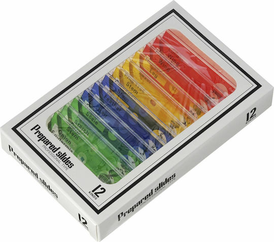 Levenhuk Rainbow DM500 Ψηφιακό Μικροσκόπιο Εκπαιδευτικό με Οθόνη 7-200x