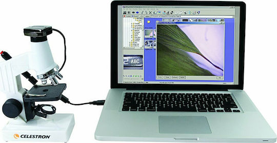 Levenhuk 2ST Stereo Educational Binocular Microscope 40x