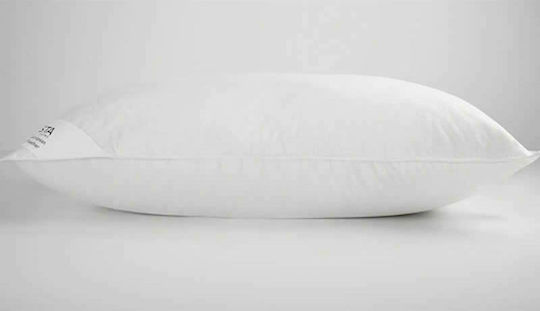 Vesta Home Royal Feathered Bed Pillow 60x80cm