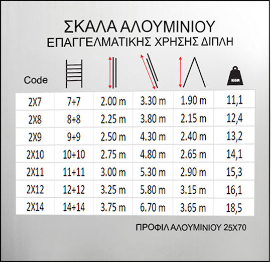 Pankoskal Dublu Scara combinata Aluminiu 2x8