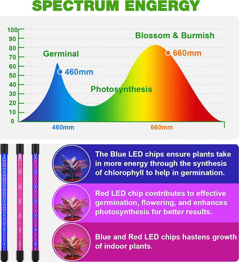 GloboStar Desk Grow Light with LED and Power 80W L100xW100cm.