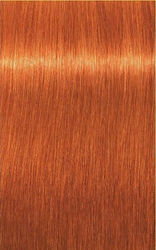 Schwarzkopf Igora Royal Βαφή Μαλλιών 8-77 Ξανθό...