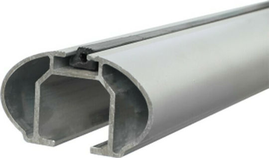 Menabo Tiger Silver 120cm. Universell für Autos mit Werksdachstangen (mit Dachträgerfüßen und Schloss) Silber