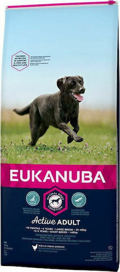 Eukanuba Adult Large Breed 12kg Ξηρά Τροφή για Ενήλικους Σκύλους Μεγαλόσωμων Φυλών με Κοτόπουλο