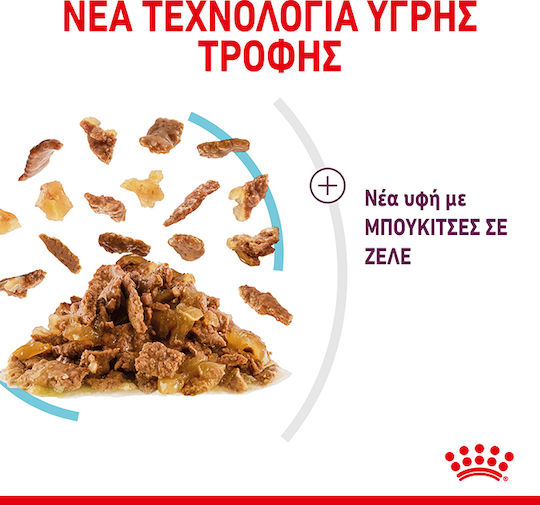 Royal Canin Sensory Taste Jelly Wet Food for Adult Cats in Pouches with Chicken 85gr