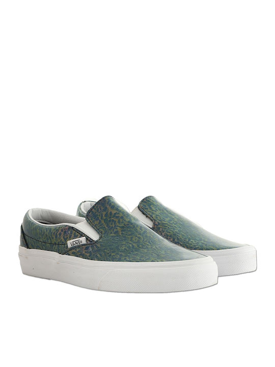 Vans Vans