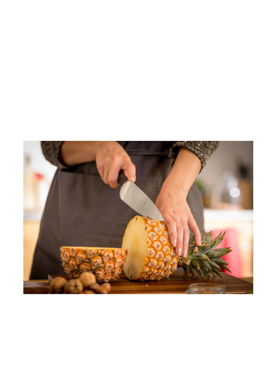 Tefal Ice Force Knife Meat from Stainless Steel 20cm