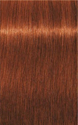Schwarzkopf Igora Royal Βαφή Μαλλιών 6-77 Ξανθό...