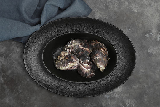 Maxwell & Williams Caviar Salatschüssel aus Porzellan Black 36x36cm 1Stück