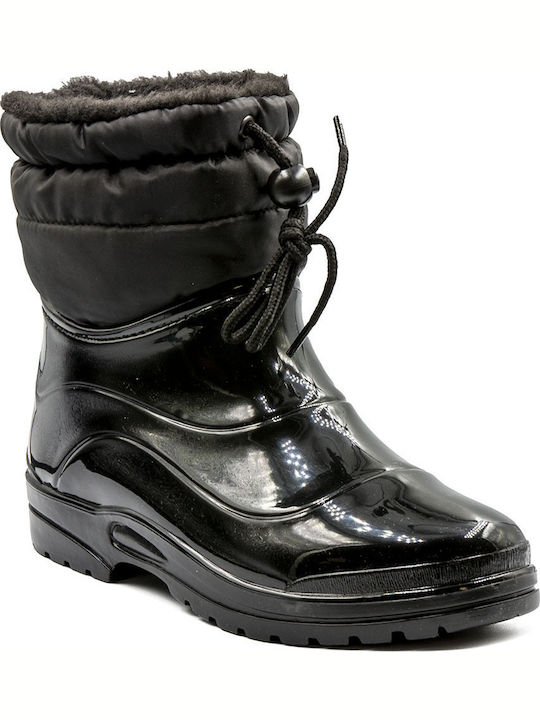 Scholl Scholl