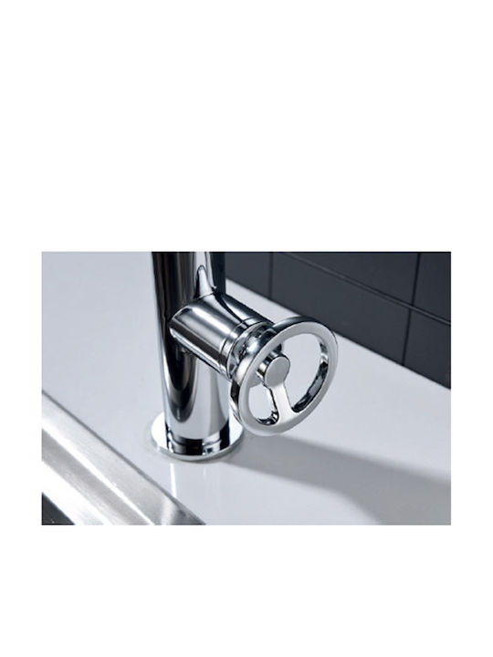 Imex Olimpo Kitchen Faucet Counter Chrome