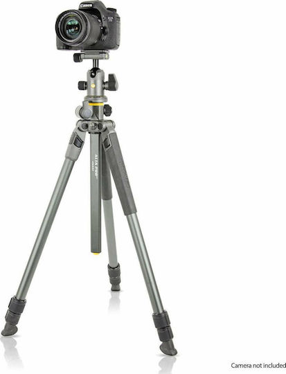 Vanguard Alta Pro 2 + 263AB100 Τρίποδο - Φωτογραφικό Grey