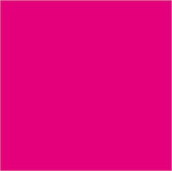 Royal Talens Extra Fine Tempera Paints Magenta ...