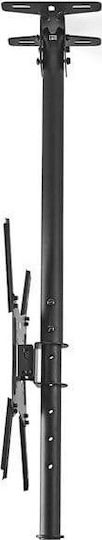 Nedis TVCM1330BK TV Mount Ceiling up to 42" and 20kg