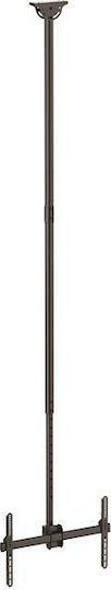 StarTech S55058201 Βάση Τηλεόρασης Οροφής με Βραχίονα έως 75" και 50kg