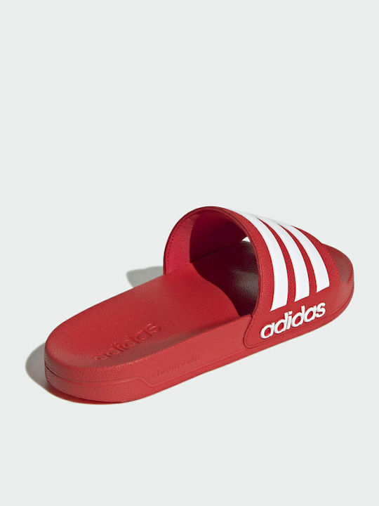 Adilette Shower Men's Slides Vivid Red