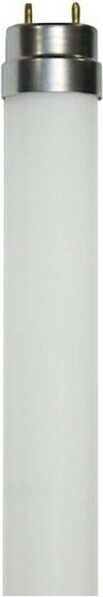 Diolamp LED-Lampe 22W Röhrenform 150εκ. für Fassung G13 und Form T8 Gelb 1510lm