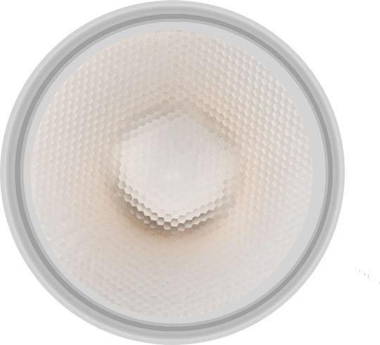 VK Lighting LED Bulb 10W for Socket E27 and Shape PAR38 Warm White 1000lm